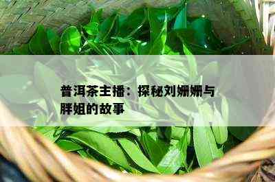 普洱茶主播：探秘刘姗姗与胖姐的故事