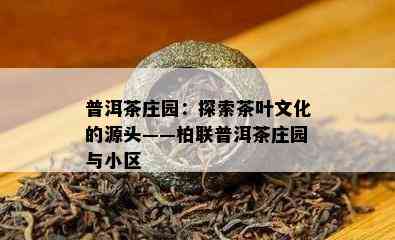 普洱茶庄园：探索茶叶文化的源头——柏联普洱茶庄园与小区