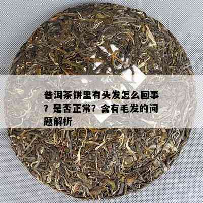 普洱茶饼里有头发怎么回事？是否正常？含有毛发的问题解析