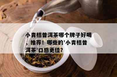 小青桔普洱茶哪个牌子好喝，推荐！哪些的'小青桔普洱茶'口感更佳？