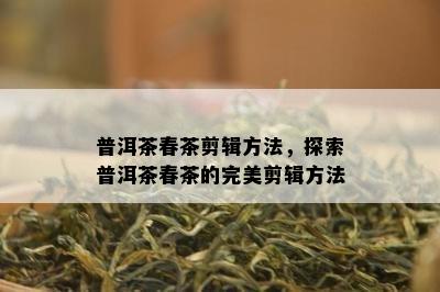 普洱茶春茶剪辑方法，探索普洱茶春茶的完美剪辑方法