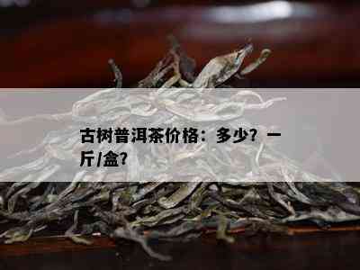 古树普洱茶价格：多少？一斤/盒？