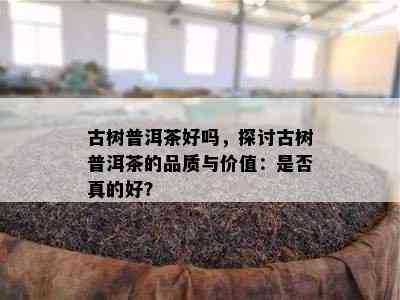 古树普洱茶好吗，探讨古树普洱茶的品质与价值：是不是真的好？