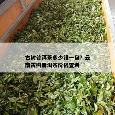 古树普洱茶多少钱一包？云南古树普洱茶价格查询