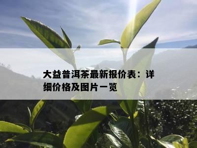 大益普洱茶最新报价表：详细价格及图片一览