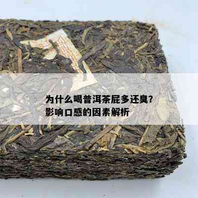 为什么喝普洱茶屁多还臭？作用口感的因素解析