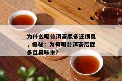 为什么喝普洱茶屁多还很臭，揭秘：为何喝普洱茶后屁多且臭味重？