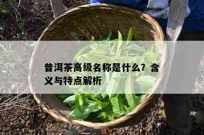 普洱茶高级名称是什么？含义与特点解析