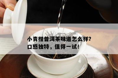 小青柑普洱茶味道怎么样？口感特别，值得一试！