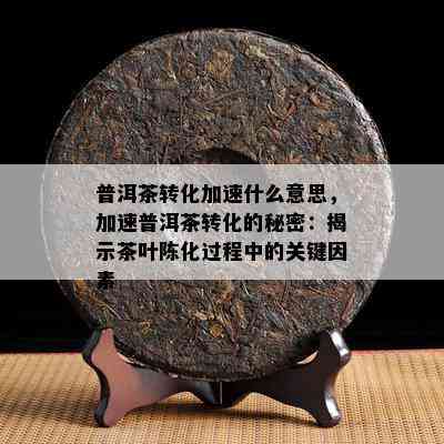 普洱茶转化加速什么意思，加速普洱茶转化的秘密：揭示茶叶陈化过程中的关键因素