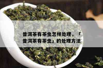 普洱茶有茶虫怎样处理，「普洱茶有茶虫」的处理方法