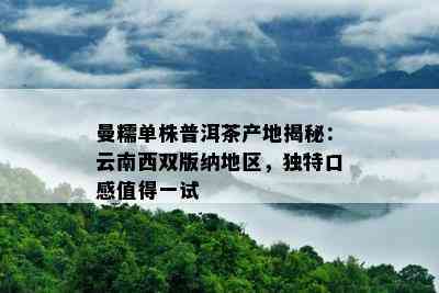 曼糯单株普洱茶产地揭秘：云南西双版纳地区，独特口感值得一试