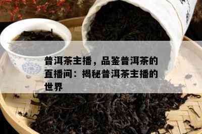 普洱茶主播，品鉴普洱茶的直播间：揭秘普洱茶主播的世界