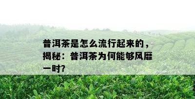 普洱茶是怎么流行起来的，揭秘：普洱茶为何能够风靡一时？