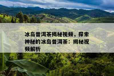 冰岛普洱茶揭秘视频，探索神秘的冰岛普洱茶：揭秘视频解析