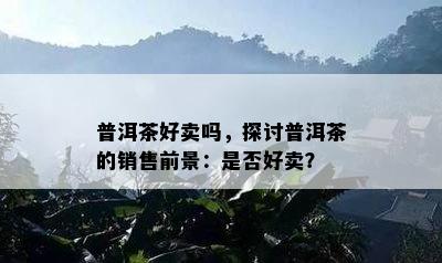 普洱茶好卖吗，探讨普洱茶的销售前景：是否好卖？