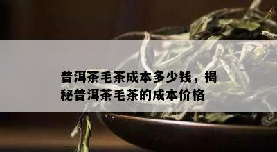 普洱茶毛茶成本多少钱，揭秘普洱茶毛茶的成本价格