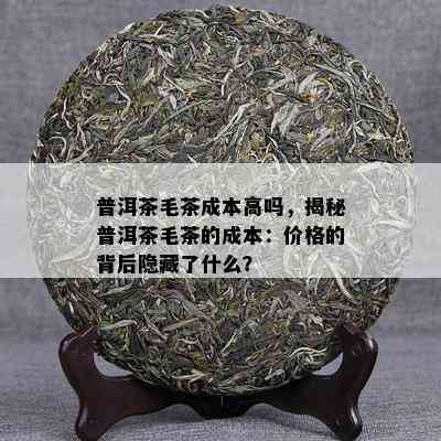 普洱茶毛茶成本高吗，揭秘普洱茶毛茶的成本：价格的背后隐藏了什么？