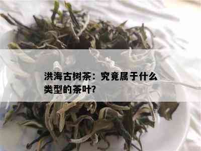 洪海古树茶：究竟属于什么类型的茶叶？