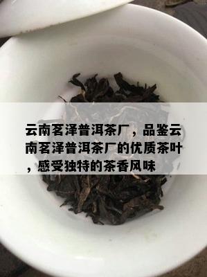 云南茗泽普洱茶厂，品鉴云南茗泽普洱茶厂的优质茶叶，感受特别的茶香风味