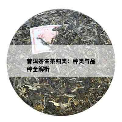 普洱茶生茶归类：种类与品种全解析