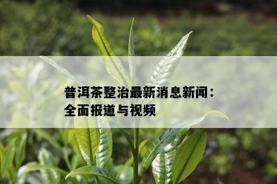 普洱茶整治最新消息新闻：全面报道与视频