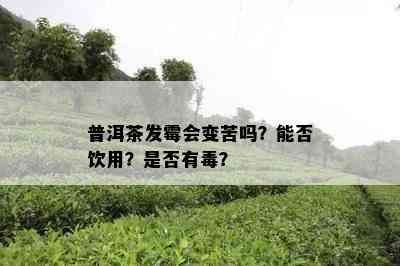 普洱茶发霉会变苦吗？能否饮用？是不是有？