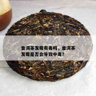 普洱茶发霉有吗，普洱茶发霉是不是会引起中？