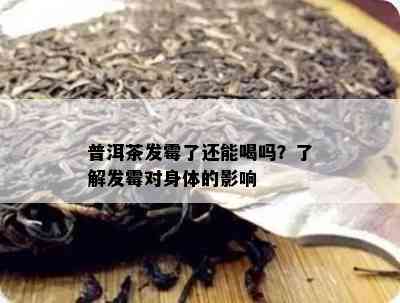 普洱茶发霉了还能喝吗？熟悉发霉对身体的作用