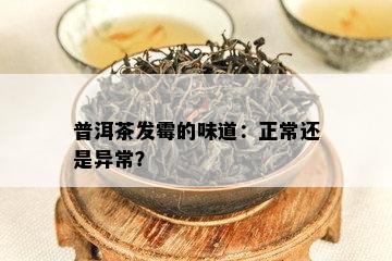 普洱茶发霉的味道：正常还是异常？