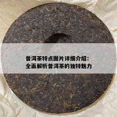 普洱茶特点图片详细介绍：全面解析普洱茶的特别魅力