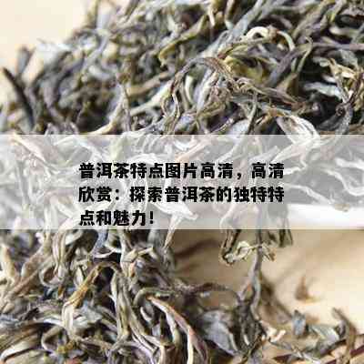 普洱茶特点图片高清，高清欣赏：探索普洱茶的特别特点和魅力！