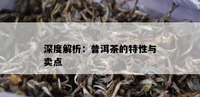 深度解析：普洱茶的特性与卖点