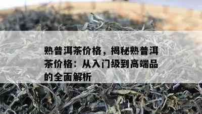 熟普洱茶价格，揭秘熟普洱茶价格：从入门级到高端品的全面解析