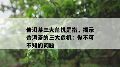 普洱茶三大危机是指，揭示普洱茶的三大危机：你不可不知的疑问