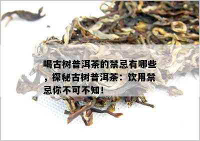 喝古树普洱茶的禁忌有哪些，探秘古树普洱茶：饮用禁忌你不可不知！