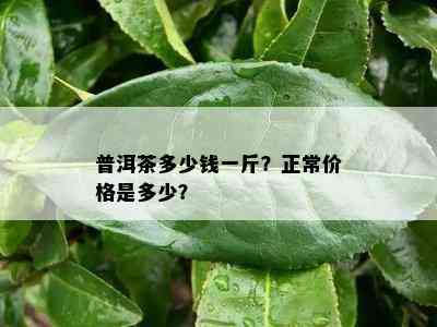 普洱茶多少钱一斤？正常价格是多少？