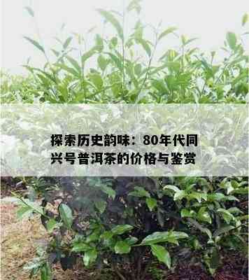 探索历史韵味：80年代同兴号普洱茶的价格与鉴赏