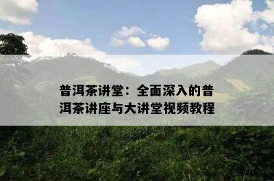 普洱茶讲堂：全面深入的普洱茶讲座与大讲堂视频教程