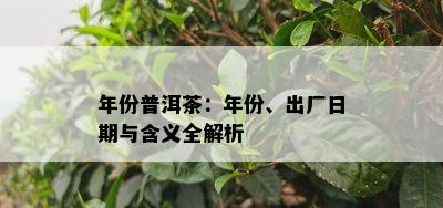 年份普洱茶：年份、出厂日期与含义全解析