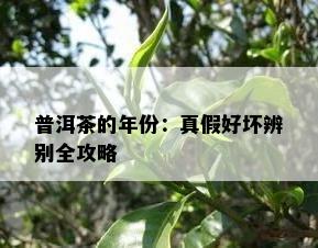 普洱茶的年份：真假好坏辨别全攻略