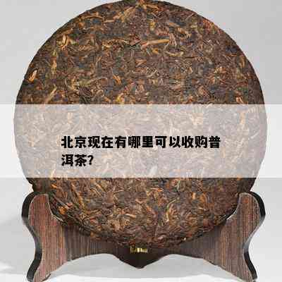 北京现在有哪里可以收购普洱茶？