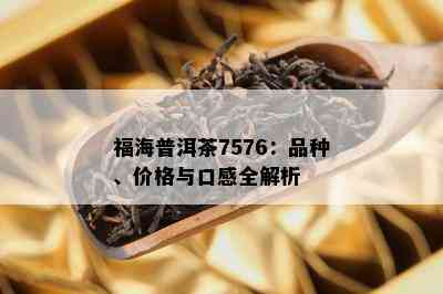 福海普洱茶7576：品种、价格与口感全解析