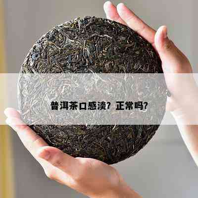 普洱茶口感淡？正常吗？