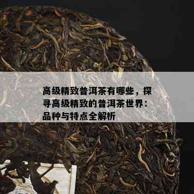 高级精致普洱茶有哪些，探寻高级精致的普洱茶世界：品种与特点全解析