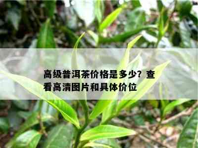 高级普洱茶价格是多少？查看高清图片和具体价位