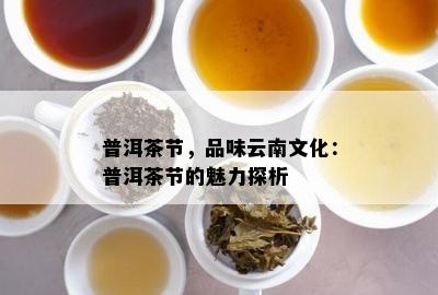 普洱茶节，品味云南文化：普洱茶节的魅力探析