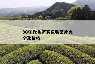 80年代普洱茶包装图片大全及价格