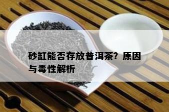 砂缸能否存放普洱茶？原因与性解析