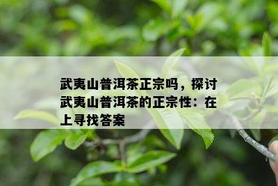 武夷山普洱茶正宗吗，探讨武夷山普洱茶的正宗性：在上寻找答案